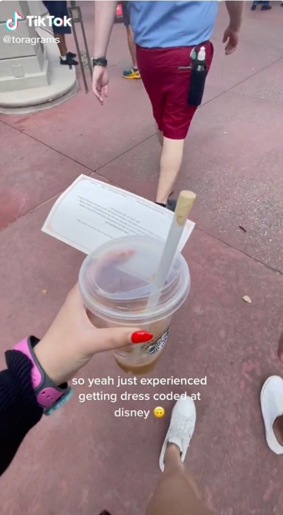 Disney world "reserves the right to refuse entry to or remove anyone who wears clothing deemed inappropriate or that could detract from the experience of other guests," On site. 
