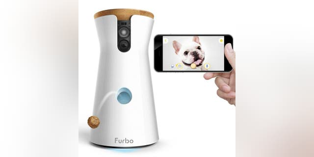 Forbo dog camera.  Furbo's latest pet camera gives you 360-degree views.  In this podcast, I got the inside scoop on seven exciting new iOS 16 features and action photography hack. 