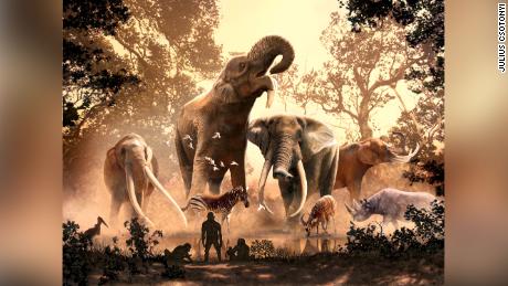 Modern elephants have escaped ancient climate change.  There were no more than 180 other species, including mastodons
