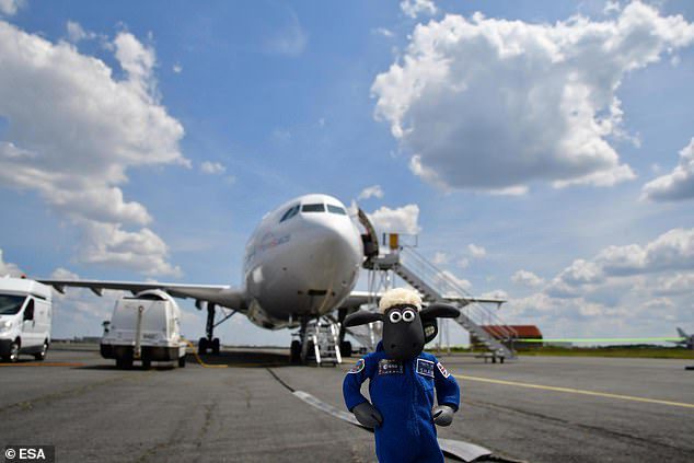 Shaun the Sheep has also taken a flight aboard an Airbus Zero G 'A310, during one of its equivalent flights that recreates 'weightlessness' conditions for those with experience in space.