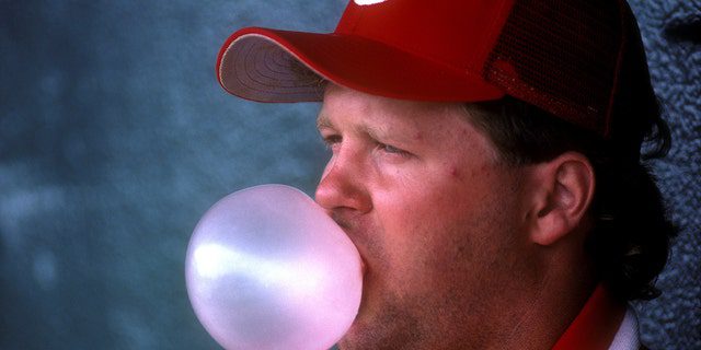 Tom Browning of the Cincinnati Reds blows a bubble in the dugout during spring training in Tampa, Florida.