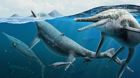 Artist's reconstruction of adult and newborn ichthyosaurs in the ocean.