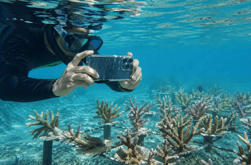Samsung’s Ocean Mode and Coral Reef Initiative Earn Global Recognition